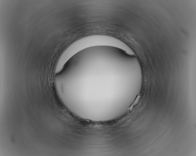 X0000113160419200910021505