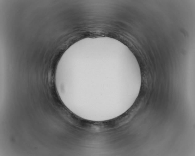 X0000113160420200910021505