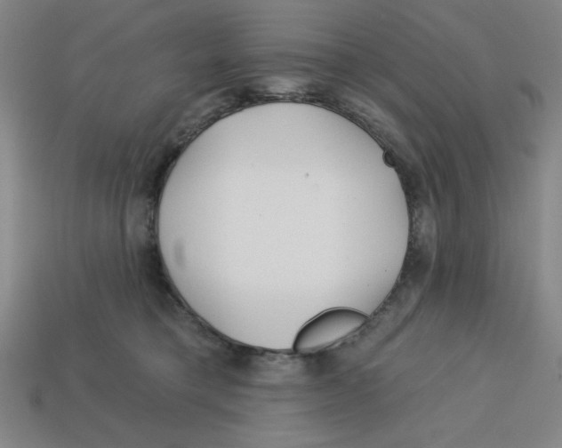 X0000113160421200910021505