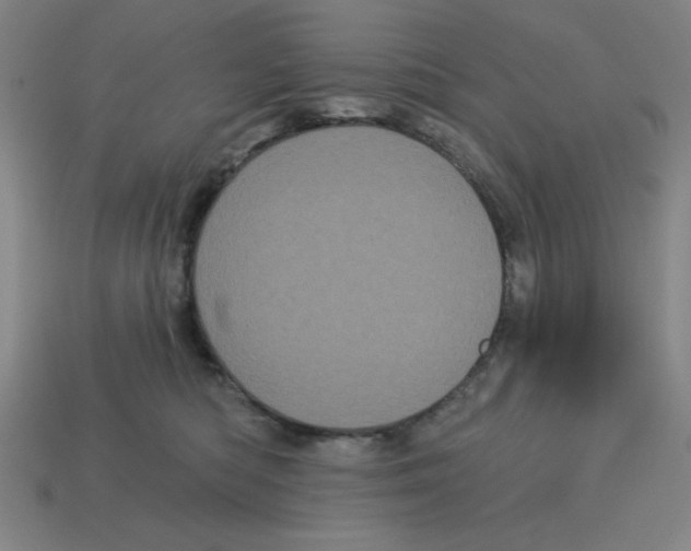 X0000113160422200910021505