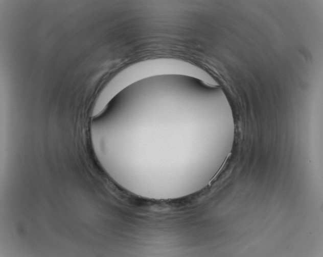 X0000113160423200910021505