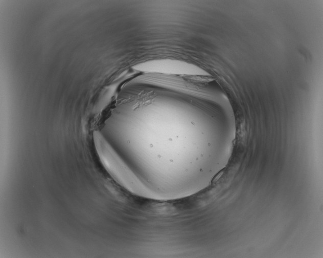 X0000113160424200910021505