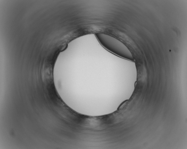 X0000113160425200910021505