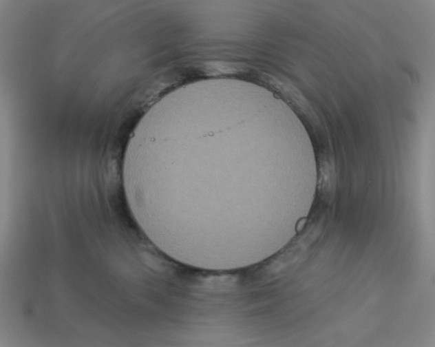 X0000113160426200910021505