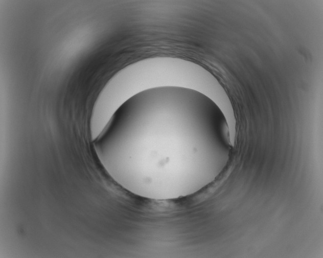 X0000113160429200910021505