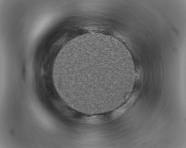 X0000113160430200910021505