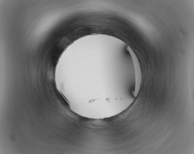 X0000113160431200910021505