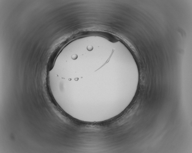 X0000113160437200910021504