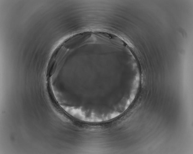 X0000113160438200910021504