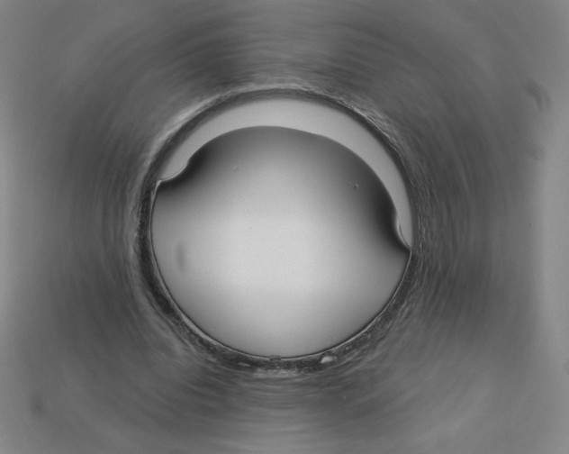 X0000113160440200910021504