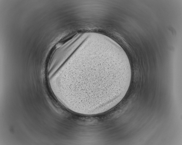 X0000113160443200910021504