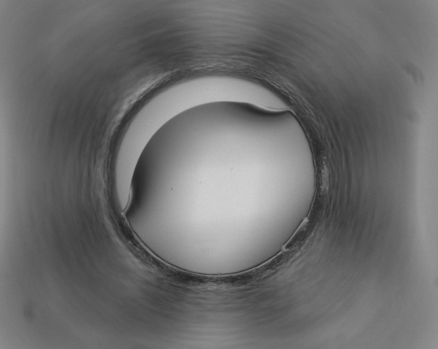 X0000113160444200910021504