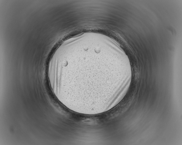 X0000113160447200910021504