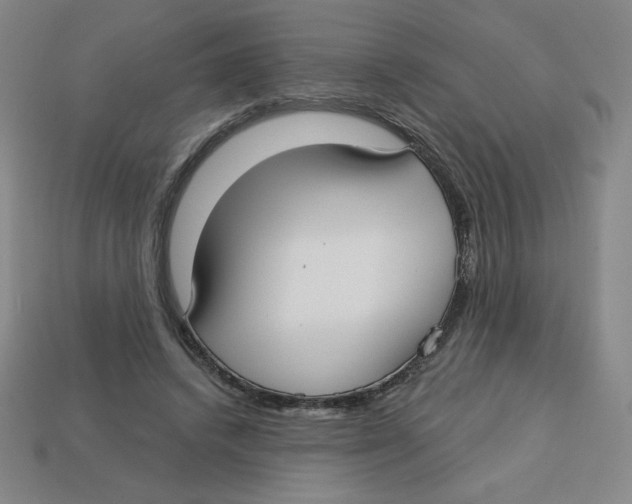 X0000113160448200910021504