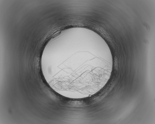 X0000113160449200910021504