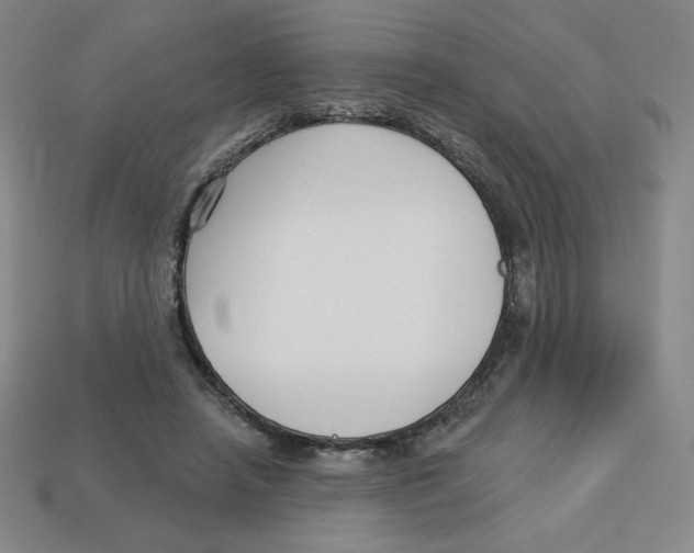 X0000113160450200910021504