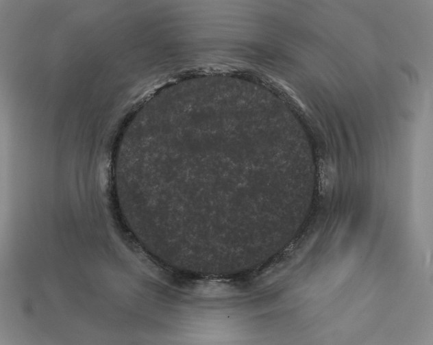 X0000113160451200910021504