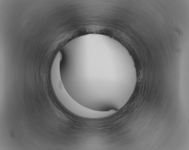 X0000113160452200910021504