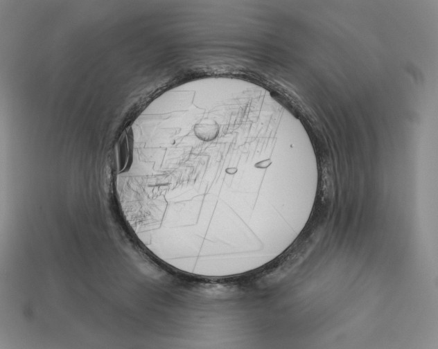 X0000113160453200910021504