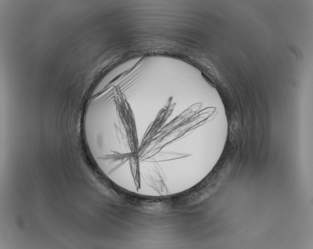 X0000113160454200910021504