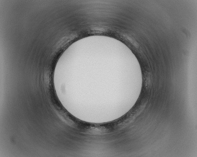 X0000113160455200910021504