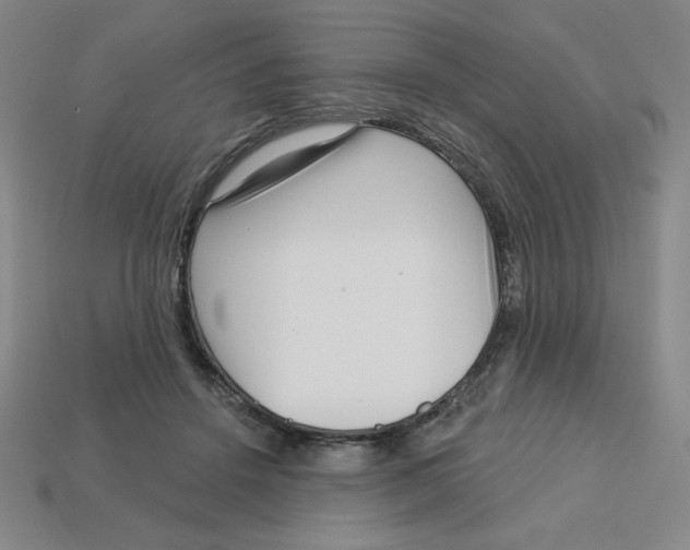 X0000113160456200910021504