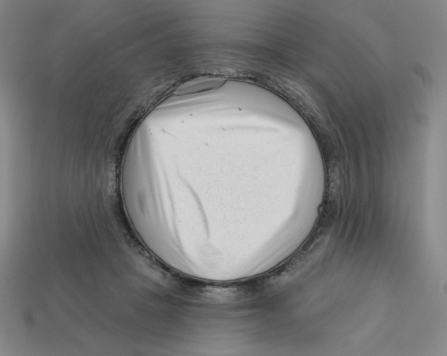 X0000113160457200910021504