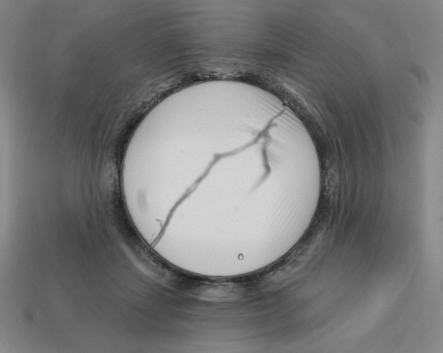 X0000113160459200910021504