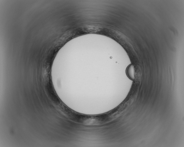 X0000113160460200910021504