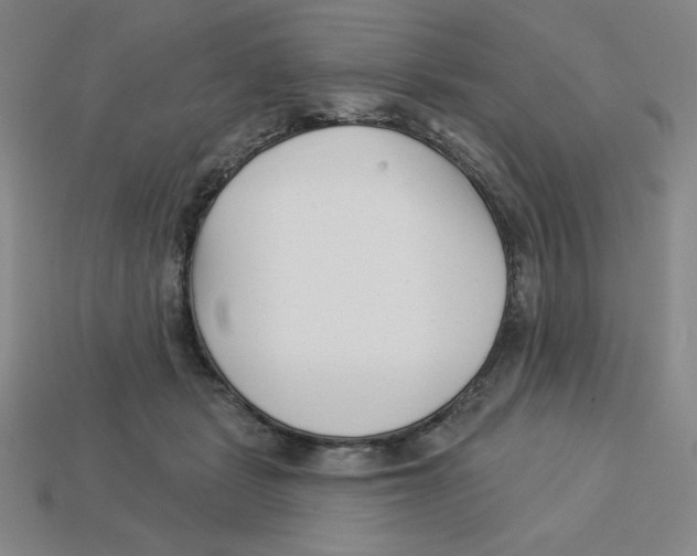 X0000113160461200910021504