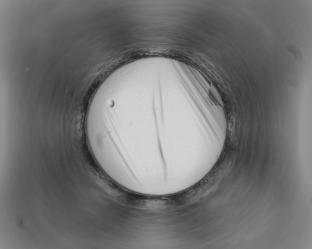 X0000113160462200910021504