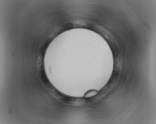 X0000113160463200910021504