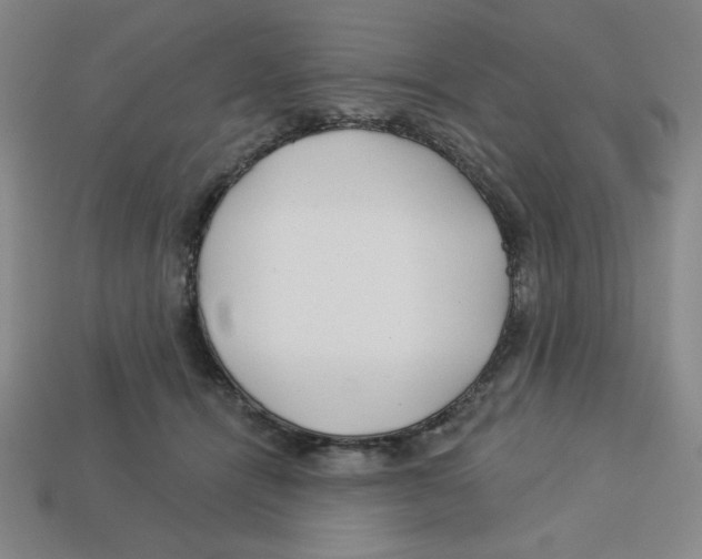 X0000113160464200910021505