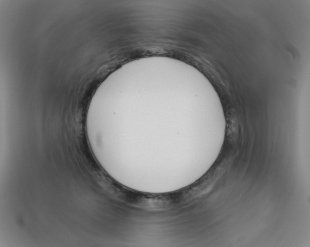 X0000113160466200910021505