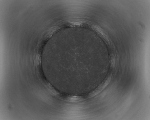 X0000113160467200910021505