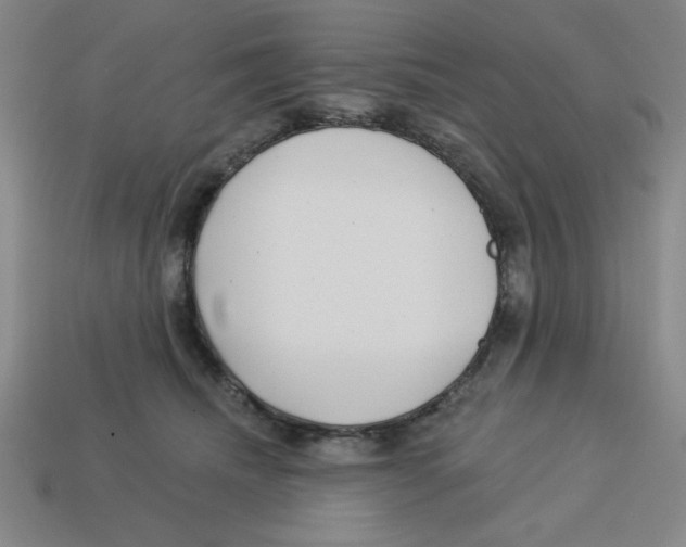 X0000113160468200910021505