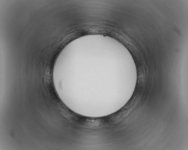 X0000113160469200910021505