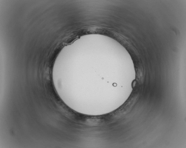 X0000113160470200910021505