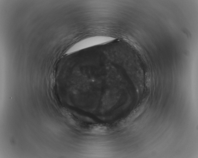 X0000113160471200910021505