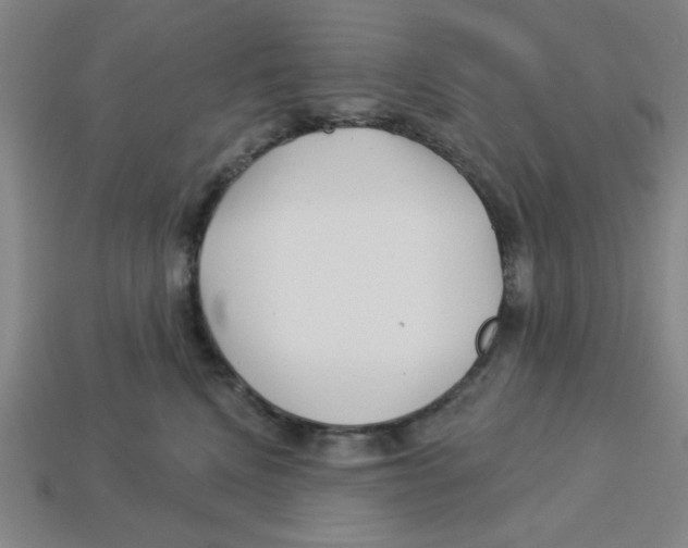 X0000113160472200910021505