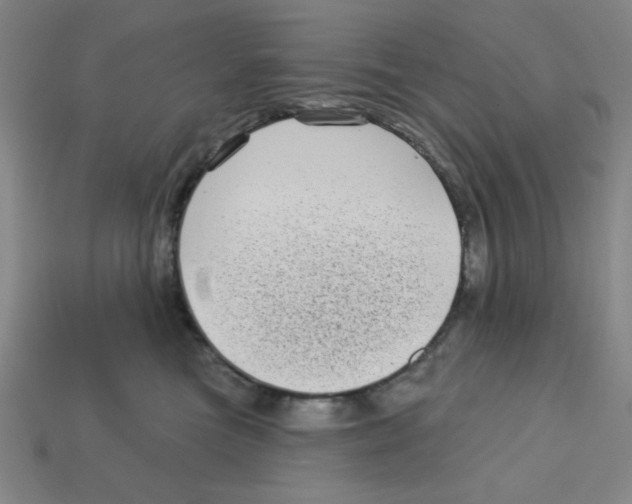 X0000113160473200910021505