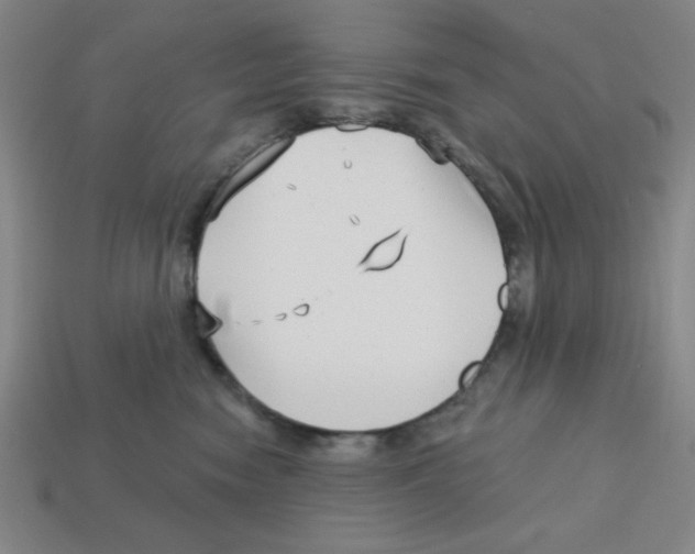 X0000113160474200910021505