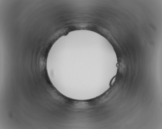 X0000113160476200910021505