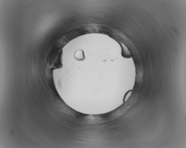 X0000113160477200910021505