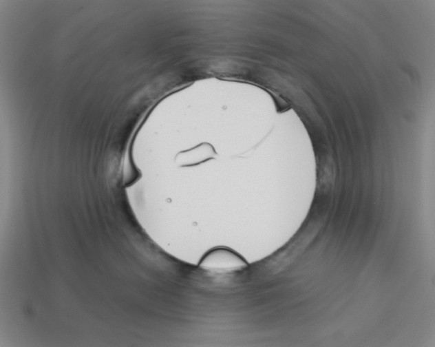 X0000113160478200910021505