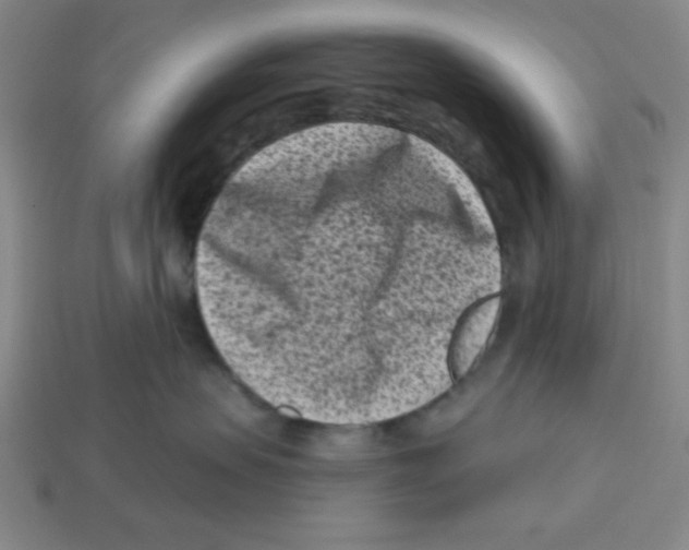 X0000113160479200910021505