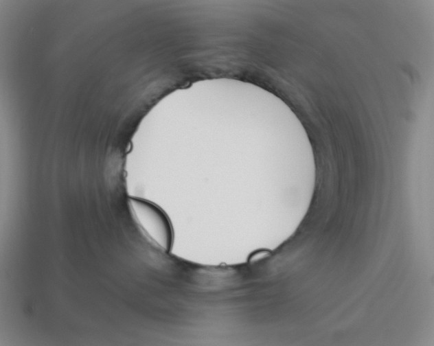 X0000113160480200910021505