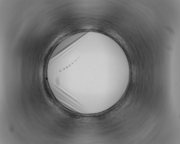 X0000113160482200910021504