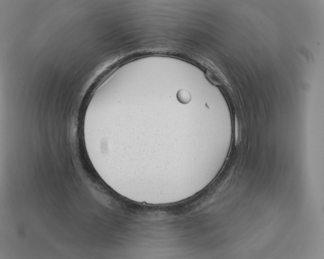 X0000113160483200910021504