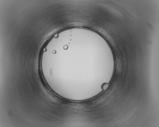 X0000113160486200910021504